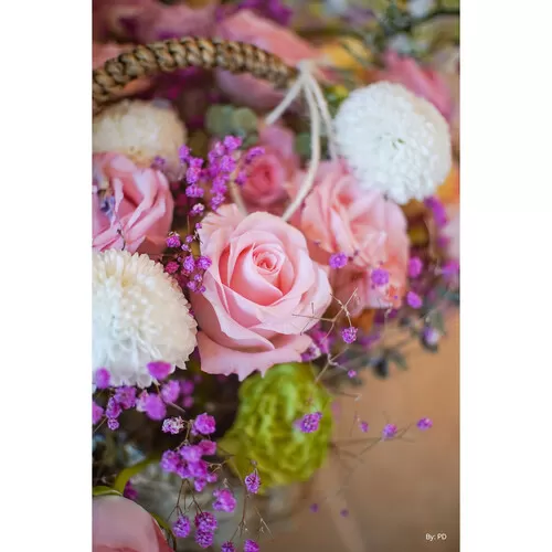 Ống kính TTAritsan 25mm F2 for M4:3, Nikon Z, Sony E, Fujifilm X, Leica L