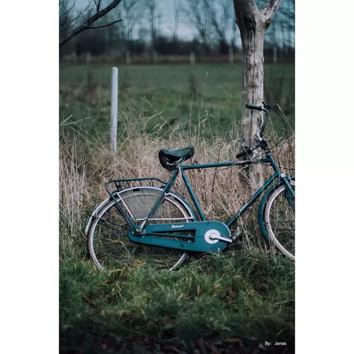 Ống kính Ttartisan 50mm f1.2 cho Nikon Z, Sony E, Fujifilm X, L Mount, M4:3 (lens MF)