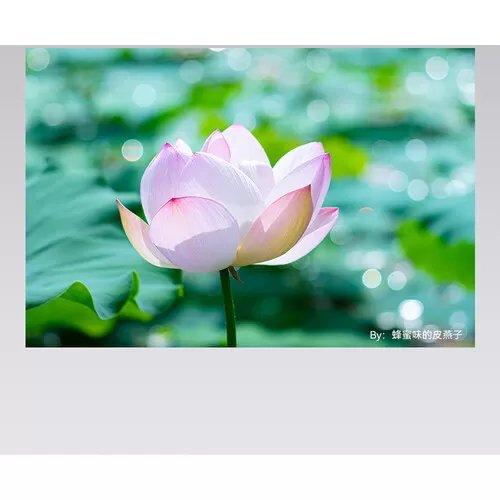 Ống kính TTartisan 100mm f2.8 Bubble Bokeh (M42 mount)