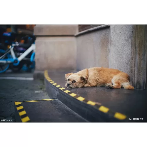 TTArtisan M 50mm F0.95 Leica M